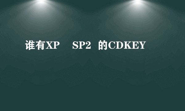 谁有XP    SP2  的CDKEY