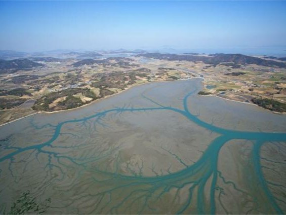 韩国滩涂申遗被联合国退回，你知道是什么原因吗？