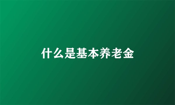 什么是基本养老金