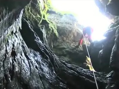 电影院上映的电影有哪些?