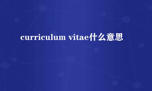 curriculum vitae什么意思