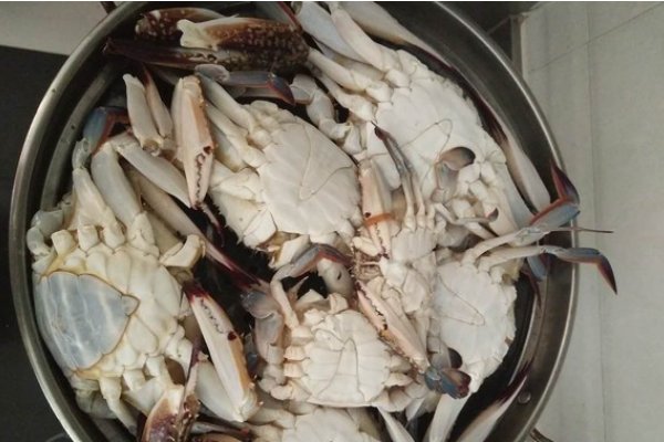 螃蟹要蒸多久才能蒸熟？