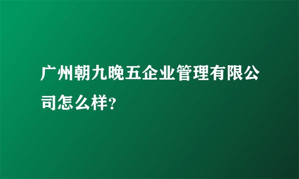 广州朝九晚五企业管理有限公司怎么样？