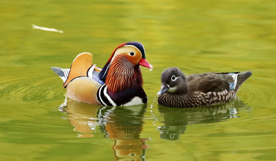 家有贤妻下一句俗语是什么?