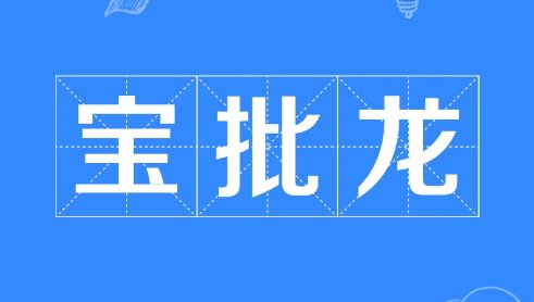 宝批龙什么意思