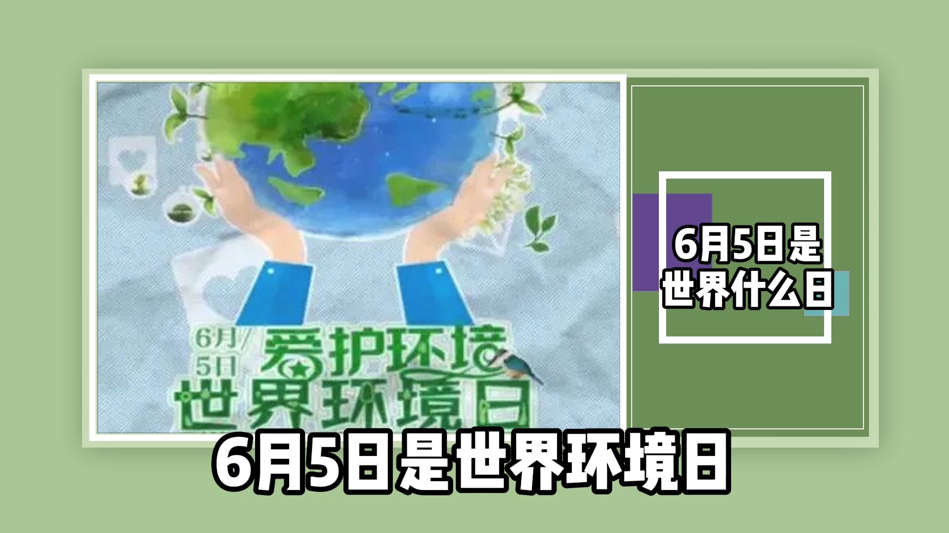 6月5日是世界什么日子