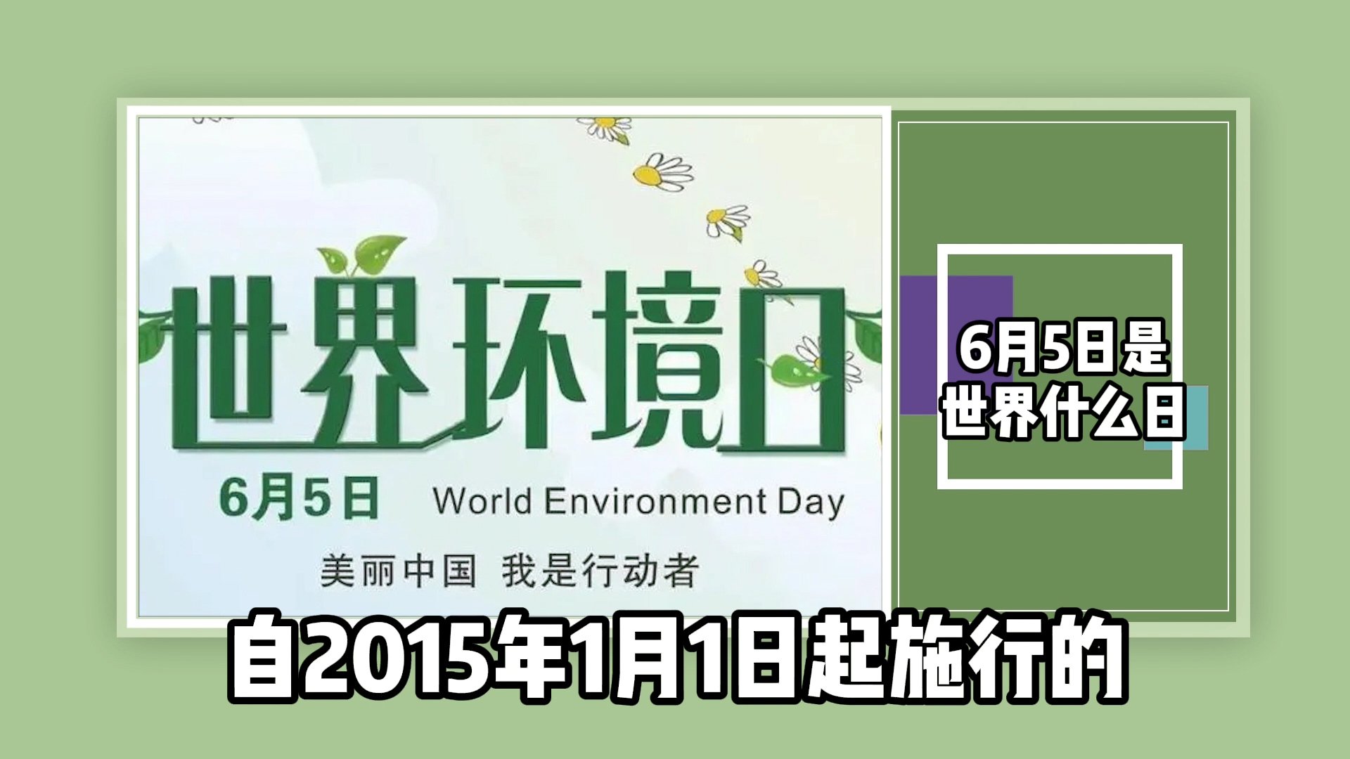 6月5日是世界什么日子