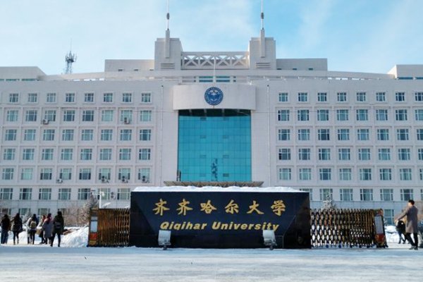 齐齐哈尔大学是几本？是一本，二本还是三本