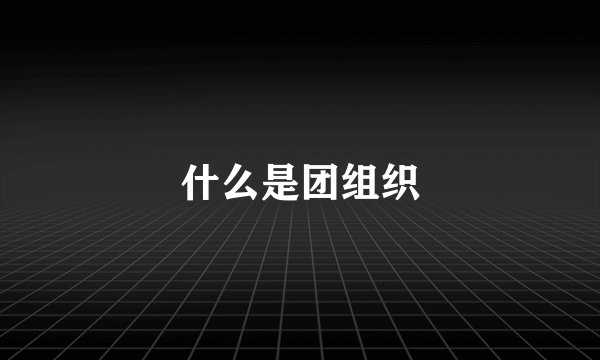 什么是团组织