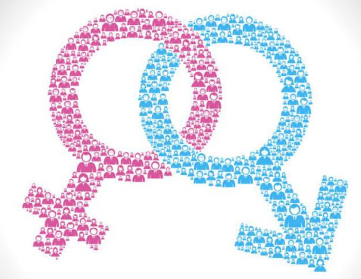 英文性别男女缩写是什么?