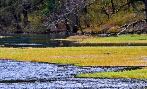 只此青绿下一句是什么？