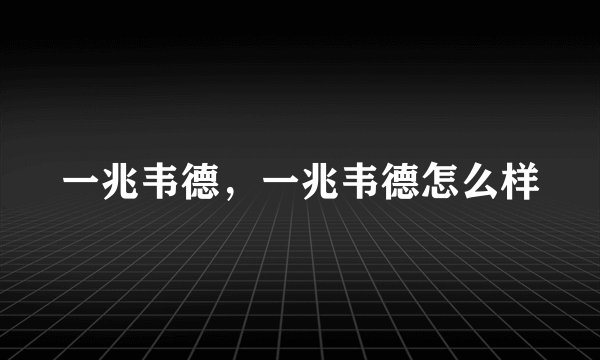一兆韦德，一兆韦德怎么样