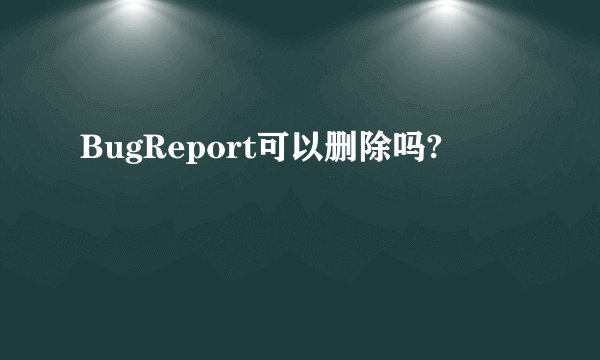 BugReport可以删除吗?