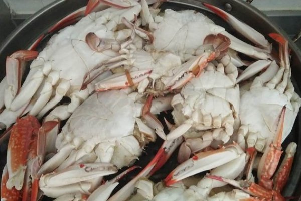 螃蟹要蒸多久才能蒸熟？