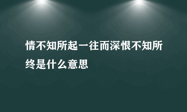 情不知所起一往而深恨不知所终是什么意思