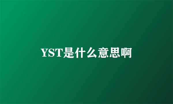 YST是什么意思啊