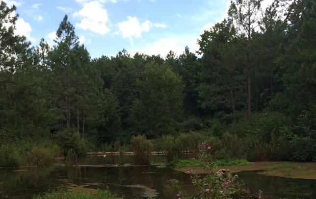 亚热带季风气候特点