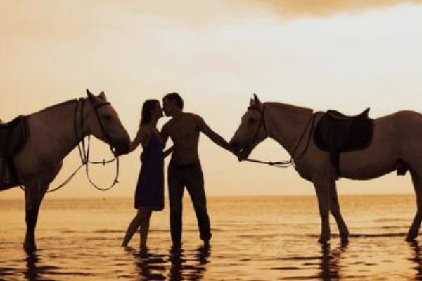 斯人若彩虹 遇上方知有,伊人若湍水,触及方知柔 什么意思