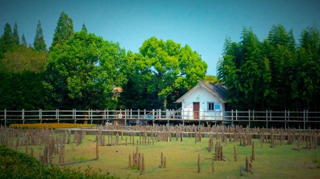 “河姆渡”究竟是什么？