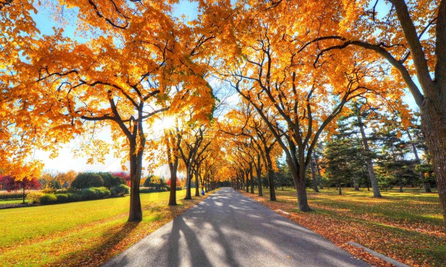 夏末秋初的唯美句子有哪些?