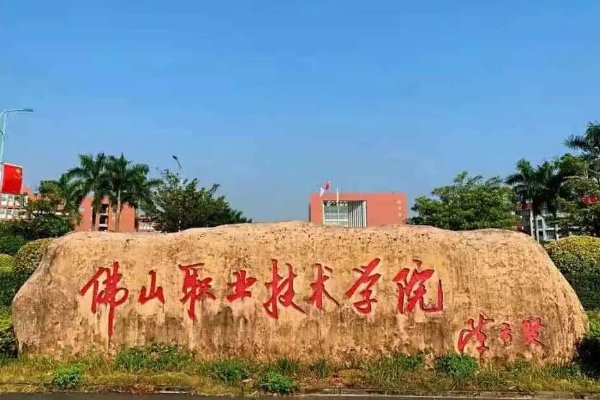 佛山有什么大学