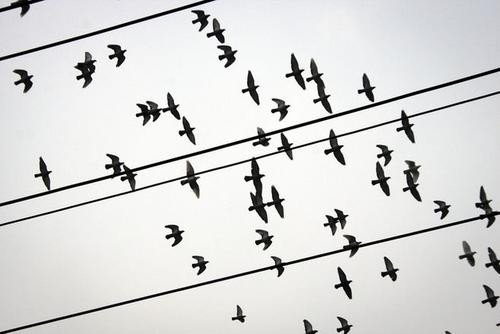 什么是平行线的定义