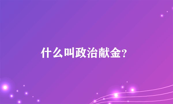 什么叫政治献金？