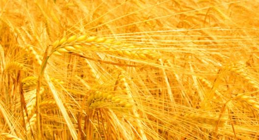 颜色名称有哪些？