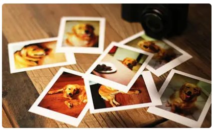 photo的复数是？