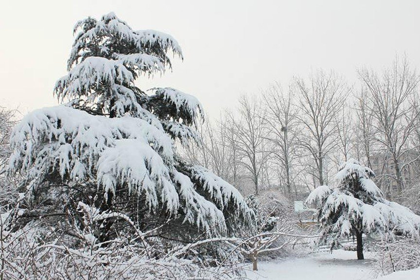 冬天的英怎么读