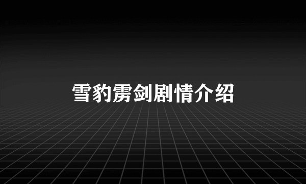 雪豹雳剑剧情介绍