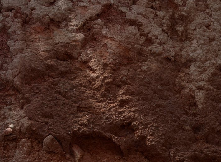 泥土拼音是什么