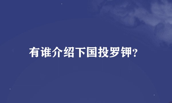 有谁介绍下国投罗钾？