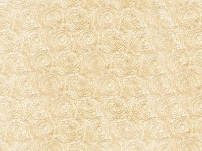 肌理是什么意思