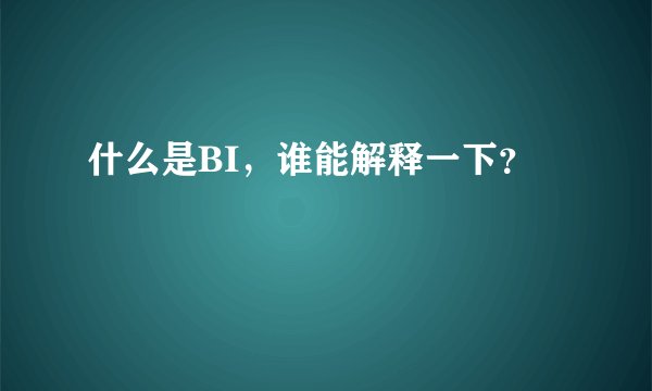 什么是BI，谁能解释一下？