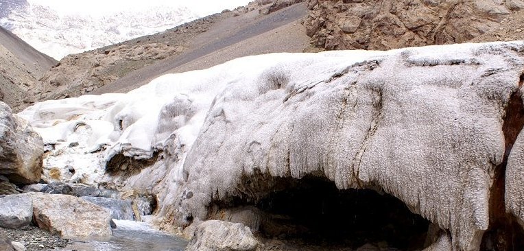 白彦虎在清军的追剿下，率众逃亡沙俄，从此走上了叛国之路了吗？