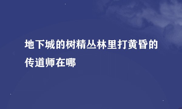 地下城的树精丛林里打黄昏的传道师在哪
