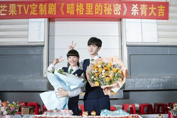 《暗格里的秘密》定档，这部剧是由哪些演员领衔主演的？