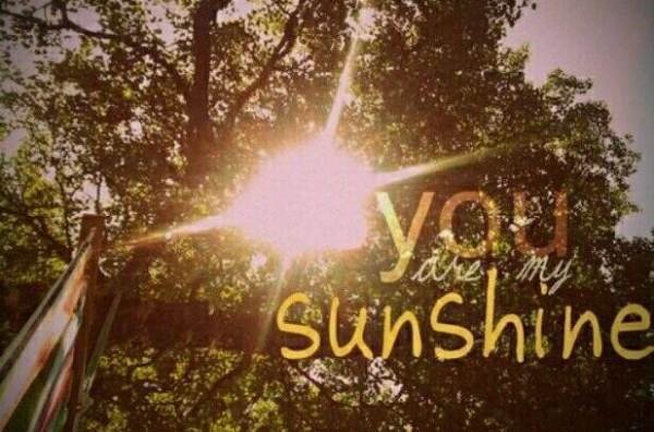 英文歌曲《you are my sunshine》的歌词是什么？