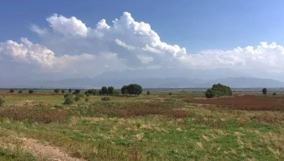 白彦虎在清军的追剿下，率众逃亡沙俄，从此走上了叛国之路了吗？