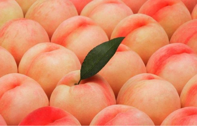 桃子英语怎么读