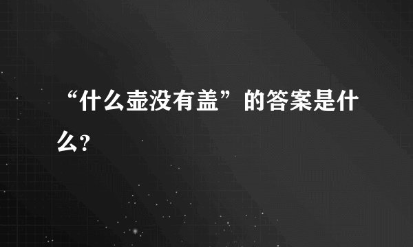 “什么壶没有盖”的答案是什么？
