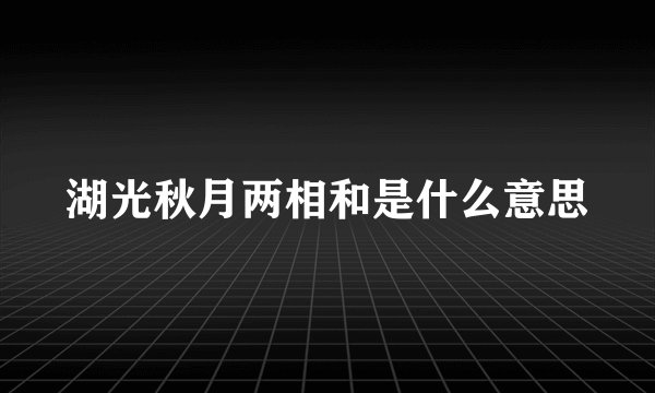 湖光秋月两相和是什么意思