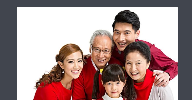 家庭主要成员是什么意思？