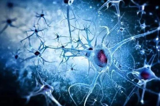 nn是什么意思？