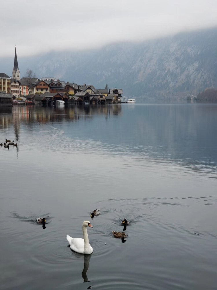 their是什么意思？