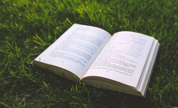 《钢铁是怎样炼成》的作者是谁?