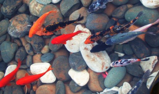 人至贱则无敌下一句是什么意思？