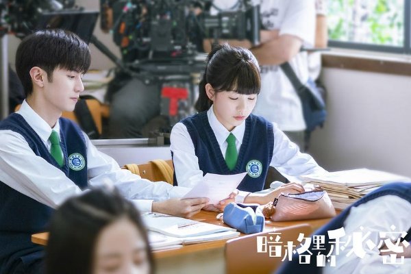 《暗格里的秘密》定档，这部剧是由哪些演员领衔主演的？