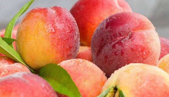 在日语里,MOMO是什么意思呢?